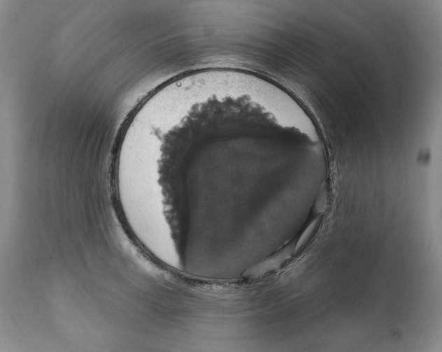 X0000111910995200908241022