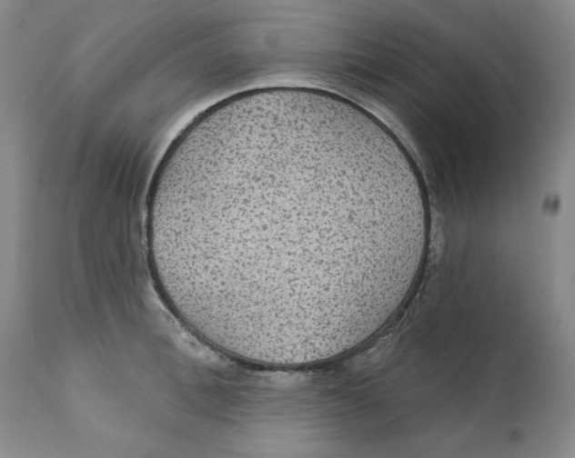 X0000111910996200908241022