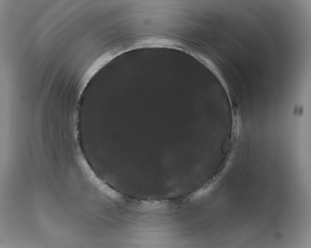 X0000111910997200908241022