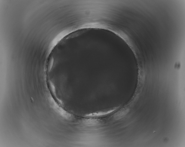 X0000111910998200908241022