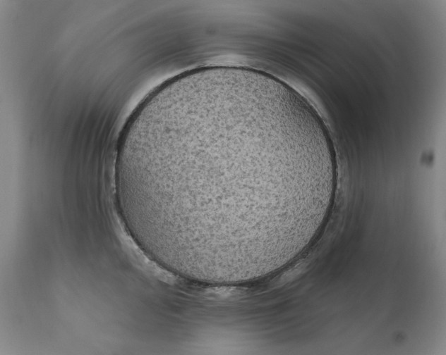 X0000111911000200908241022
