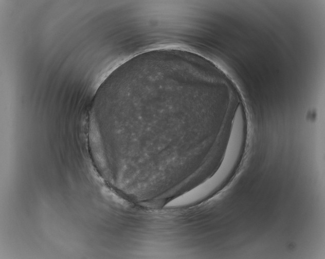 X0000111911001200908241022