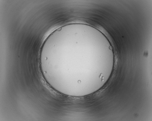 X0000111911002200908241022