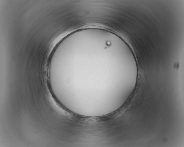 X0000111911003200908241022