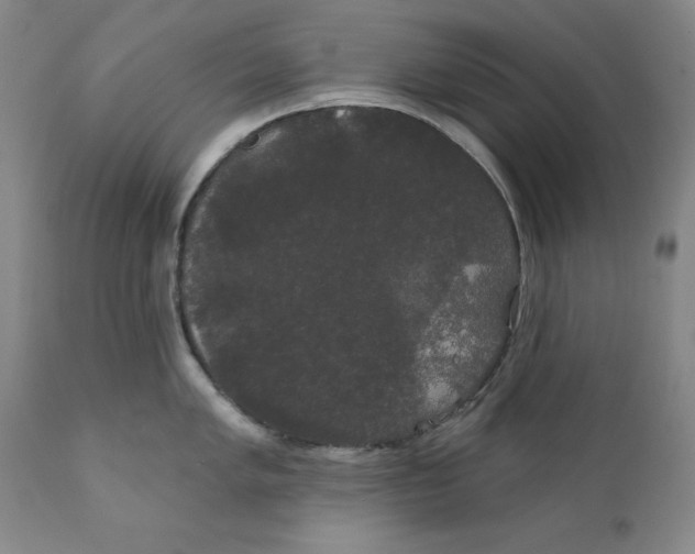 X0000111911005200908241022