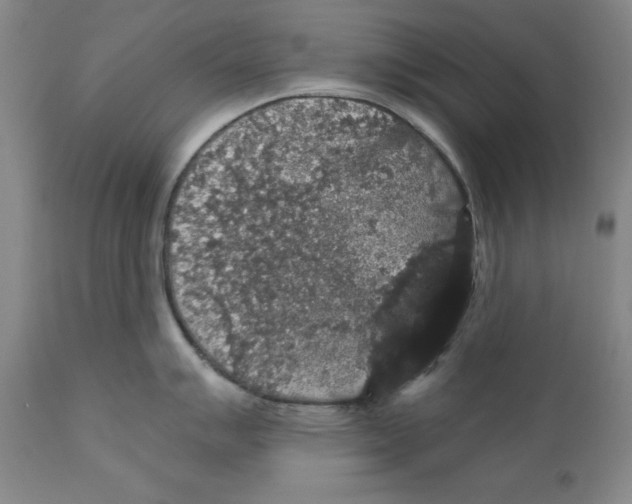 X0000111911007200908241022