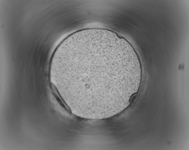 X0000111911008200908241022