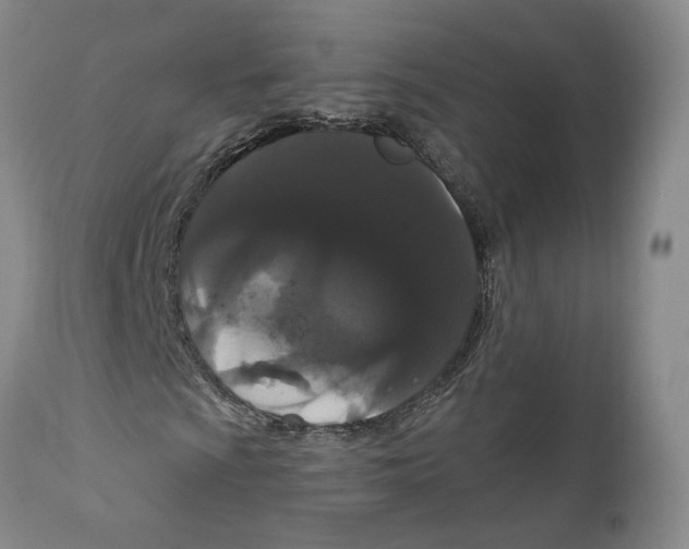 X0000111911009200908241022