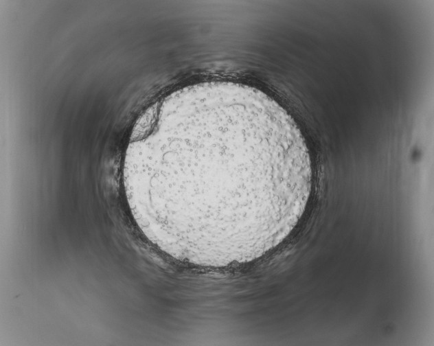 X0000111911010200908241022