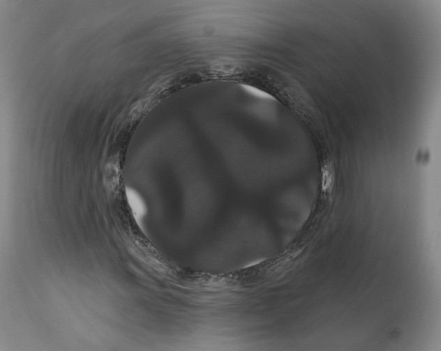 X0000111911011200908241022
