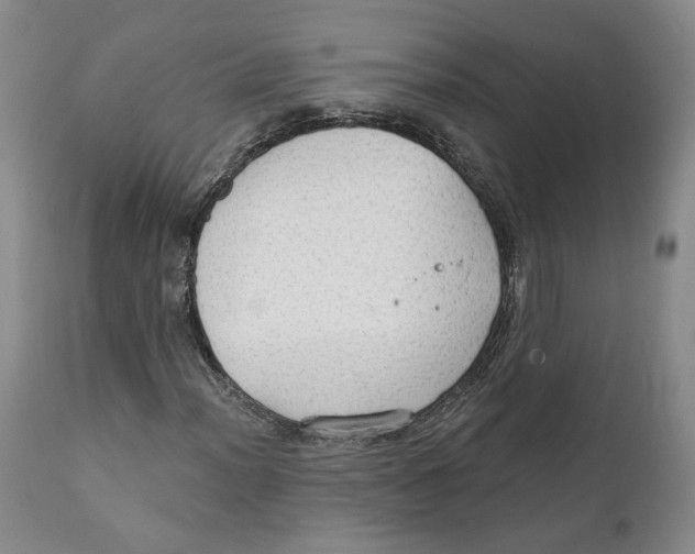 X0000111911012200908241022