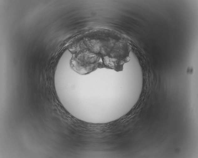X0000111911013200908241022