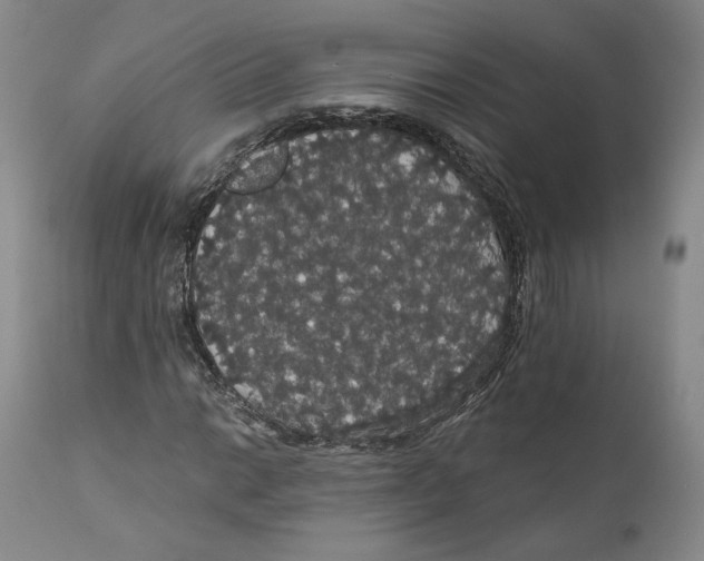 X0000111911014200908241022
