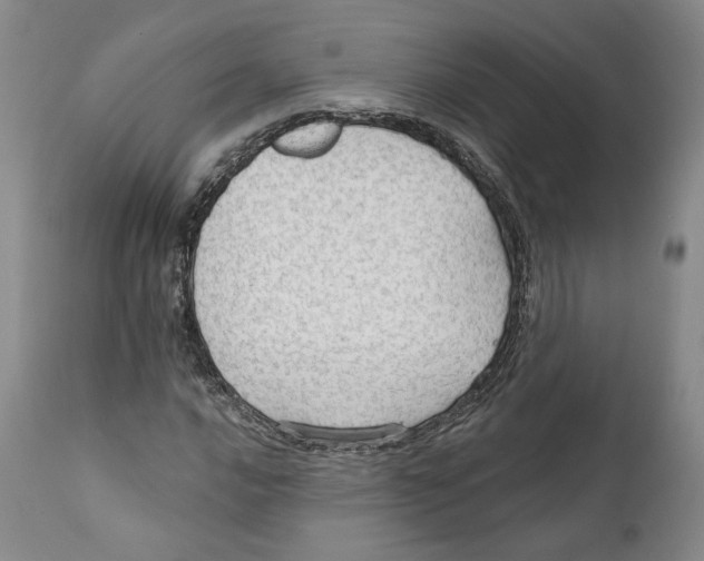X0000111911016200908241022