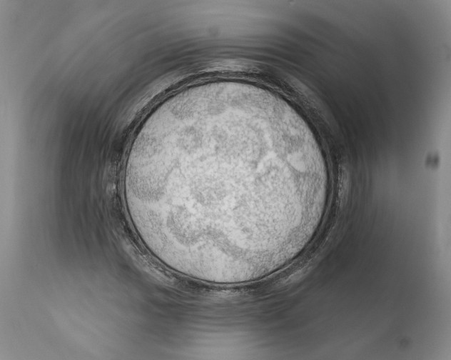 X0000111911017200908241022