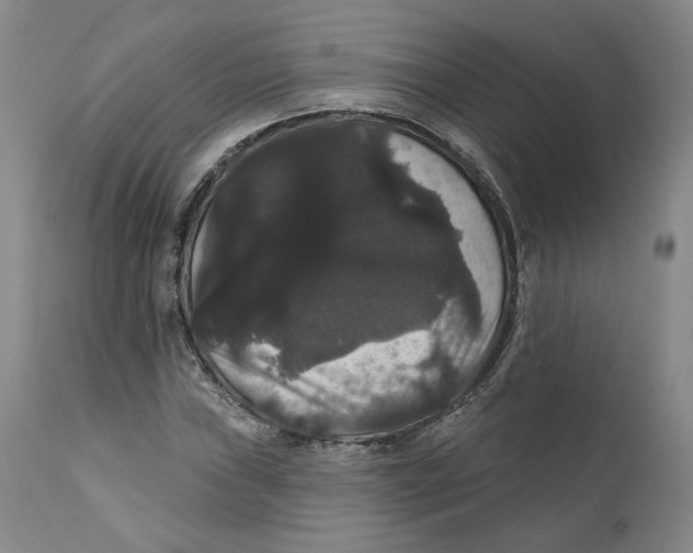 X0000111911019200908241022