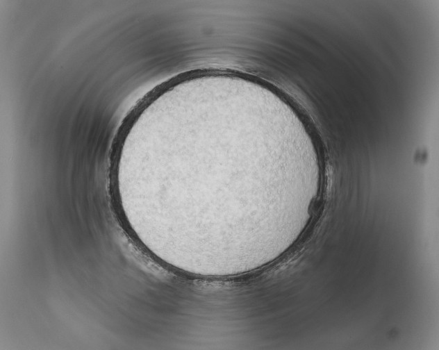 X0000111911020200908241022