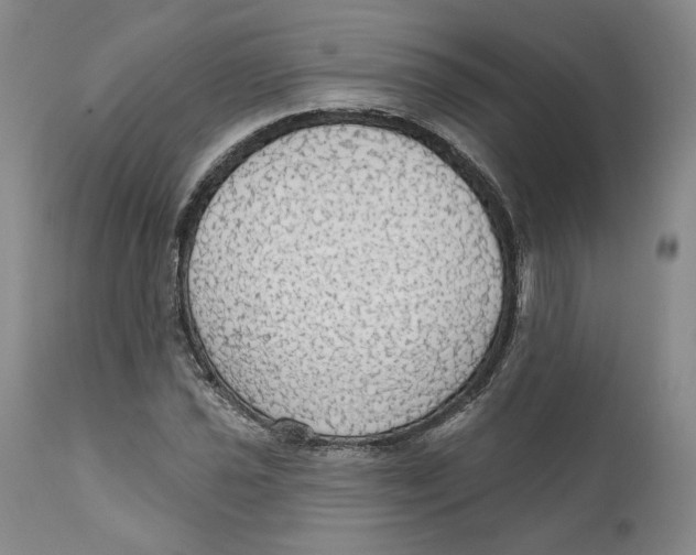 X0000111911021200908241022