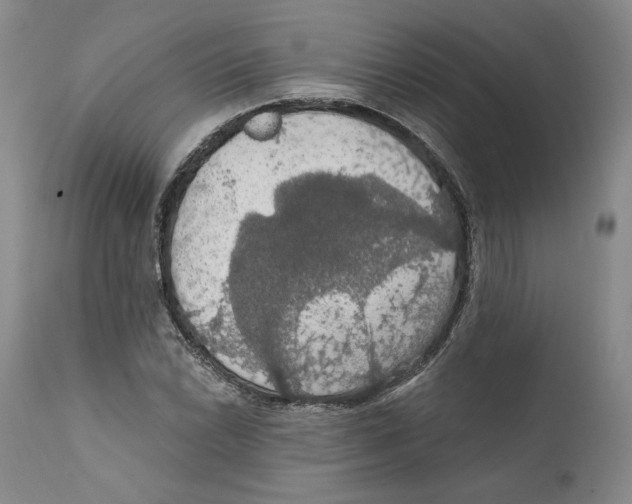X0000111911022200908241022