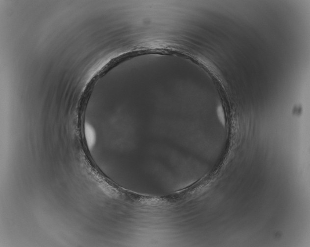 X0000111911023200908241022