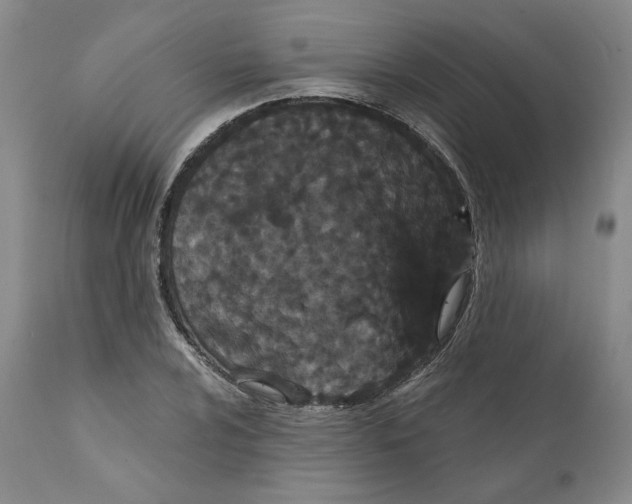 X0000111911024200908241022
