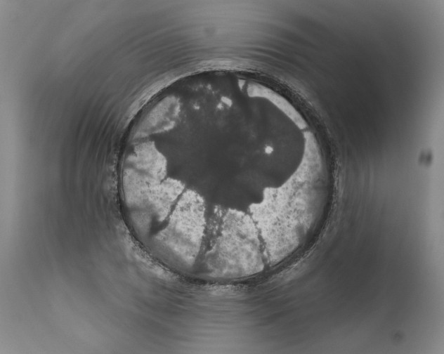 X0000111911025200908241022