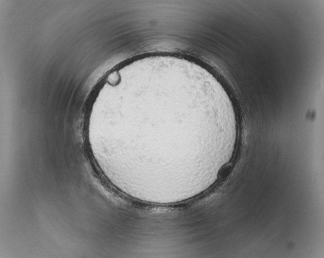 X0000111911026200908241022