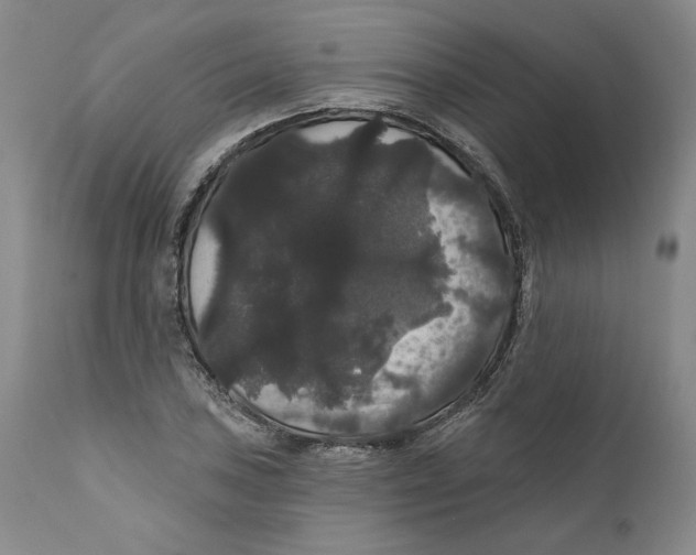 X0000111911027200908241022