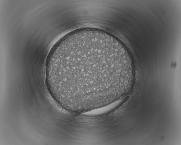 X0000111911028200908241022