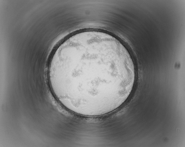X0000111911029200908241022