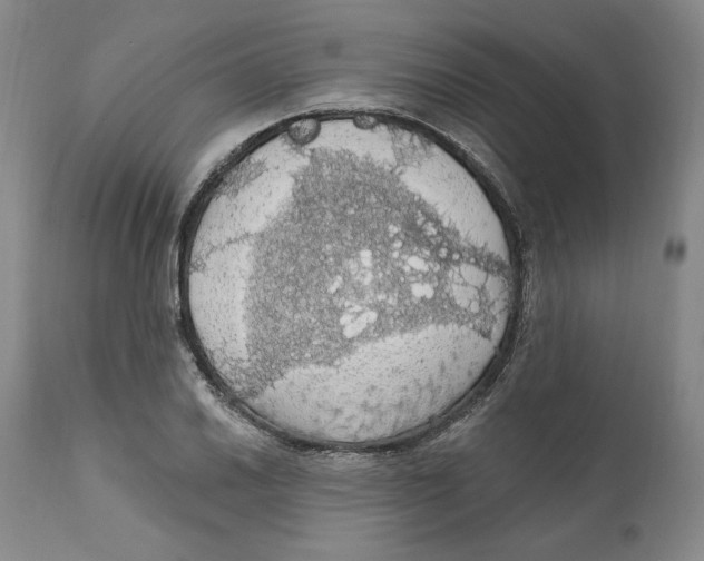 X0000111911030200908241022