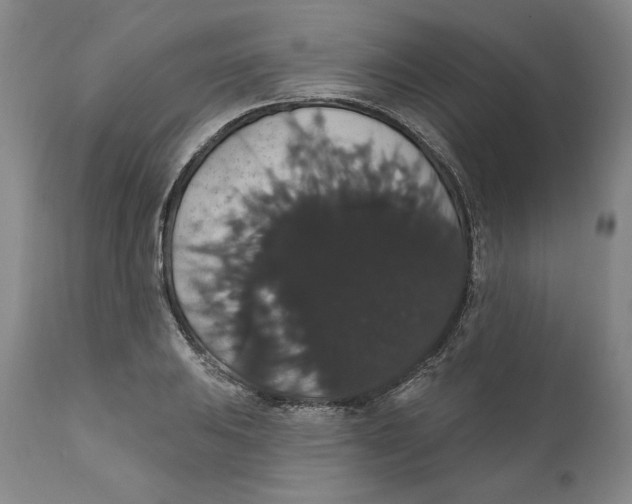 X0000111911031200908241022