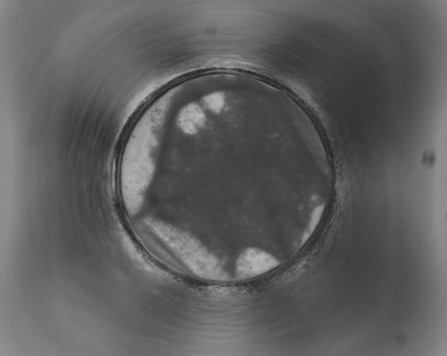 X0000111911032200908241022