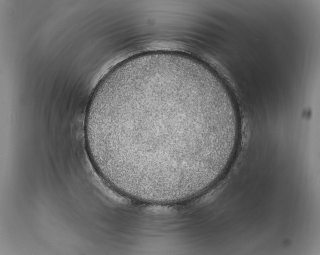 X0000111911033200908241022