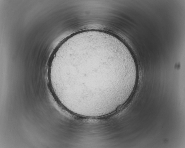 X0000111911034200908241022