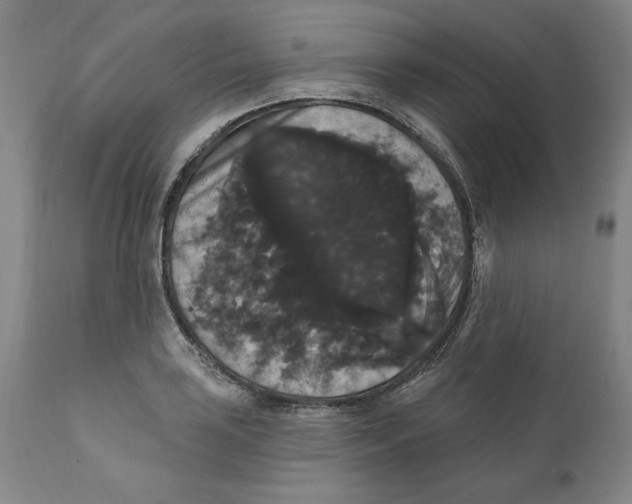X0000111911035200908241022