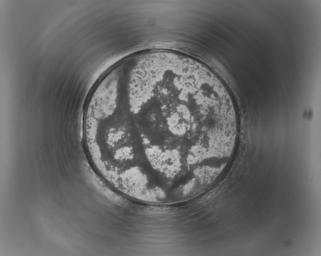 X0000111911036200908241022