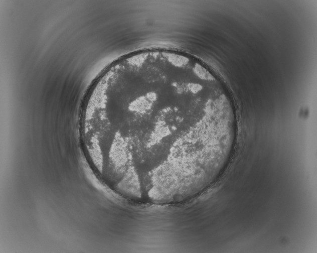 X0000111911038200908241022