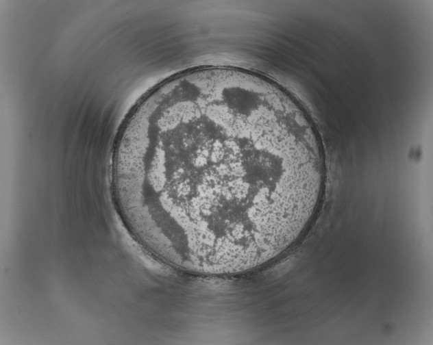 X0000111911040200908241022