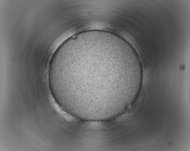 X0000111911042200908241022