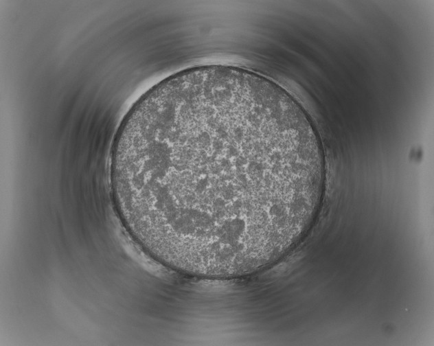 X0000111911044200908241022