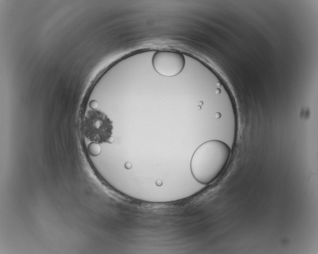 X0000111911045200908241022