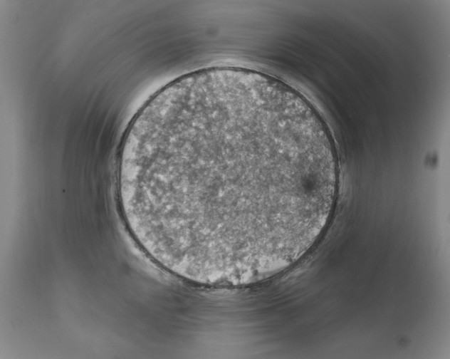 X0000111911048200908241022