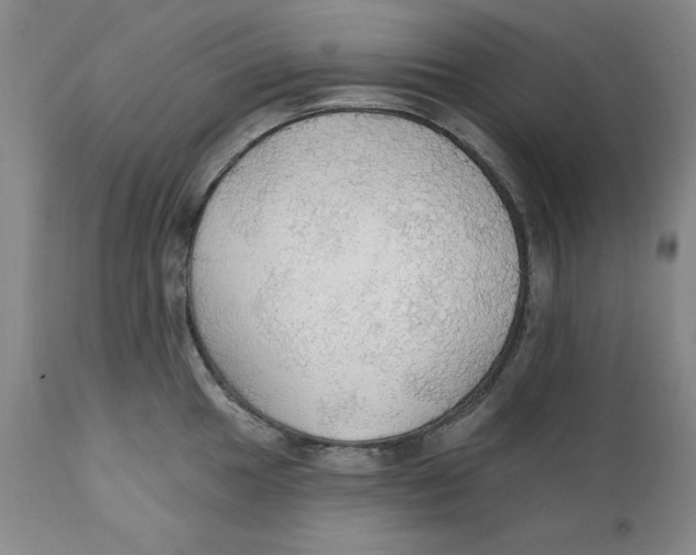 X0000111911049200908241022