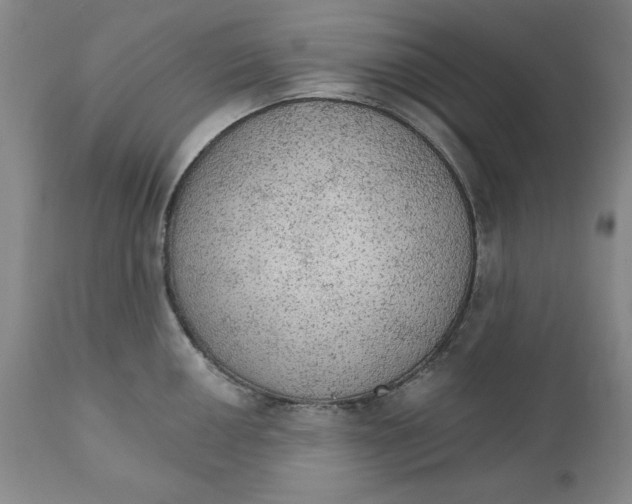 X0000111911050200908241022