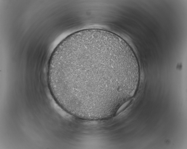 X0000111911054200908241022