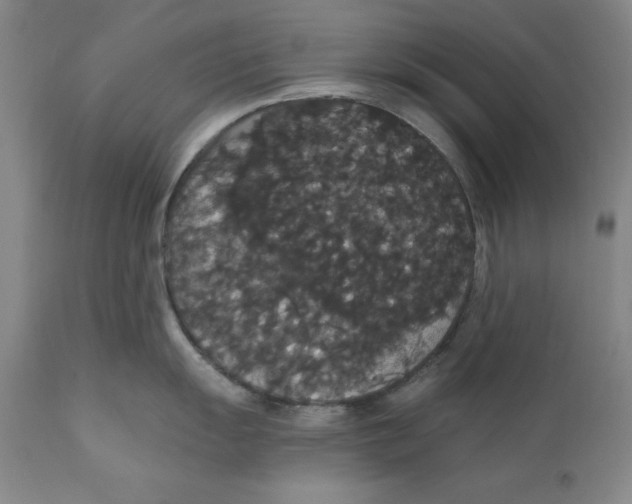 X0000111911055200908241022