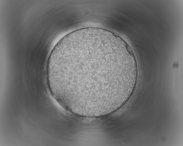X0000111911056200908241022