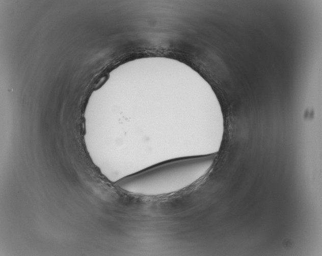 X0000111911057200908241022