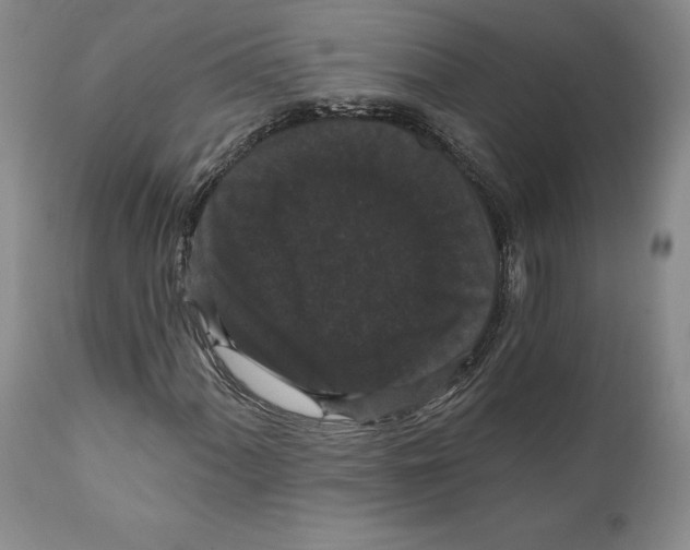 X0000111911060200908241022